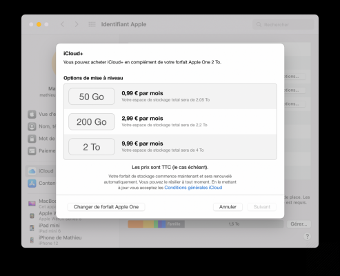 iCloud: how to optimize storage space?